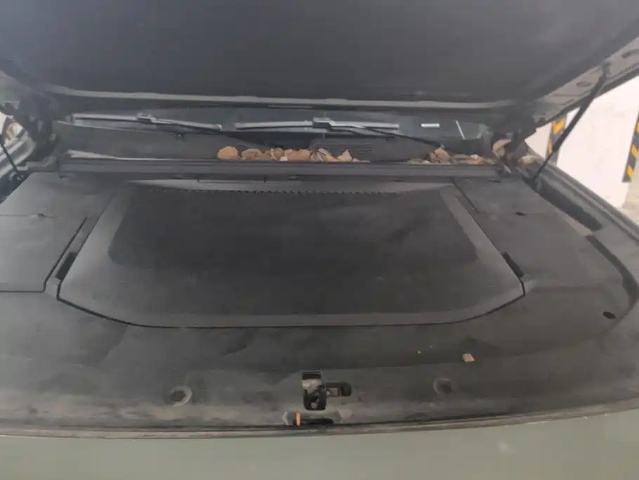 Deepal Deepal G318 — миниатюра 10