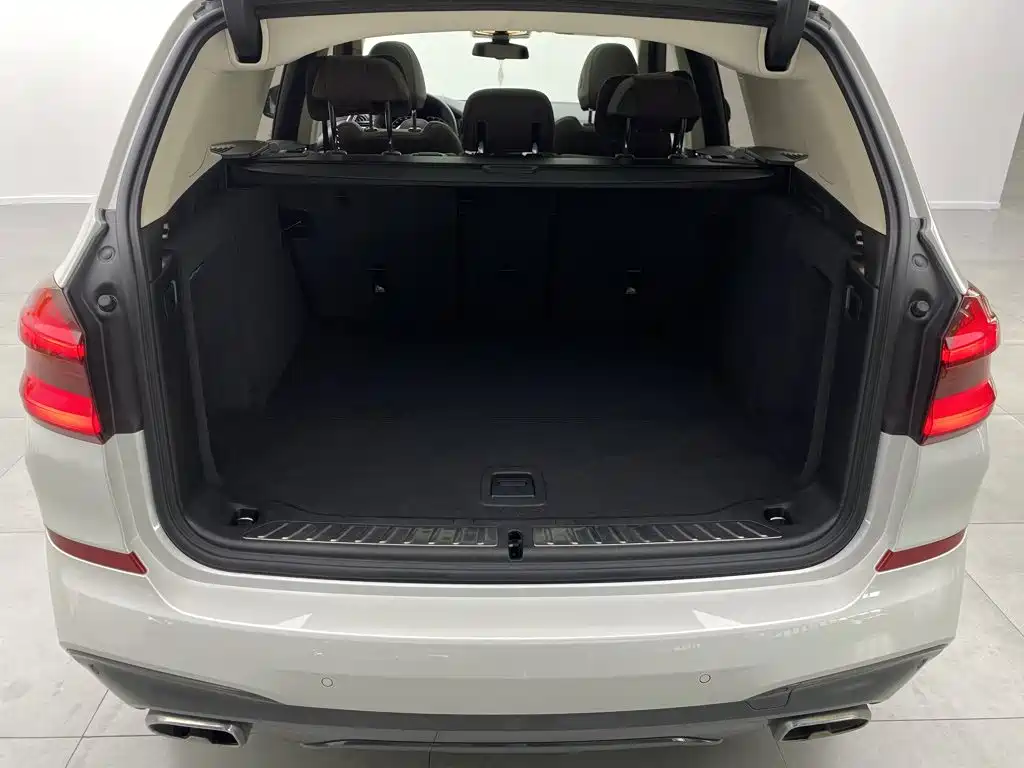 BMW X3 — миниатюра 3