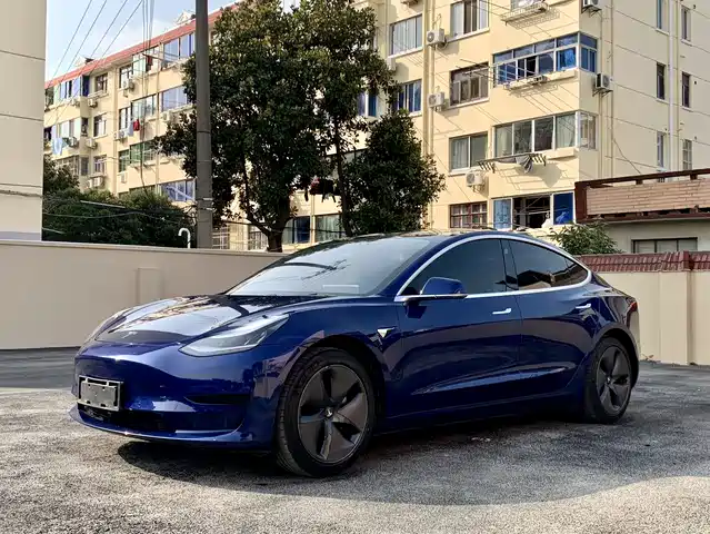 TESLA MODEL 3 2020
