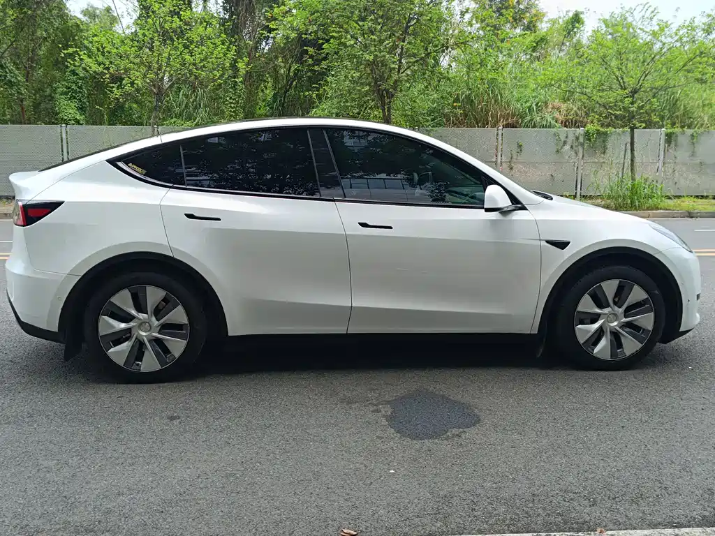 Tesla Model Y — миниатюра 19