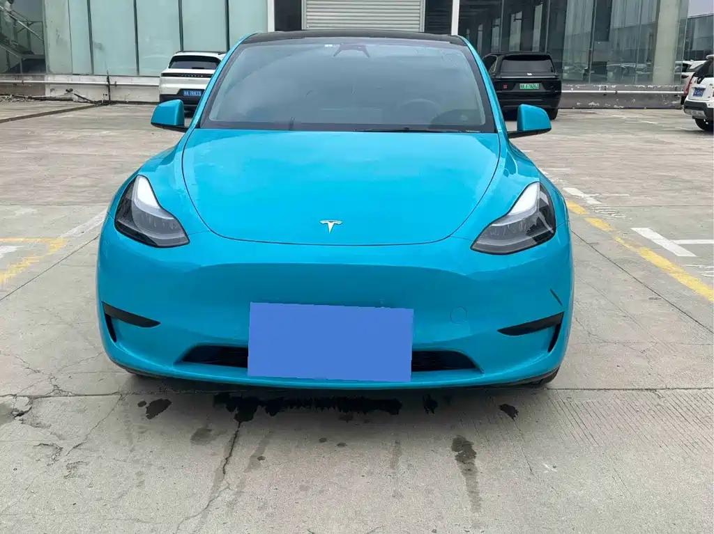 Tesla Model Y — миниатюра 2