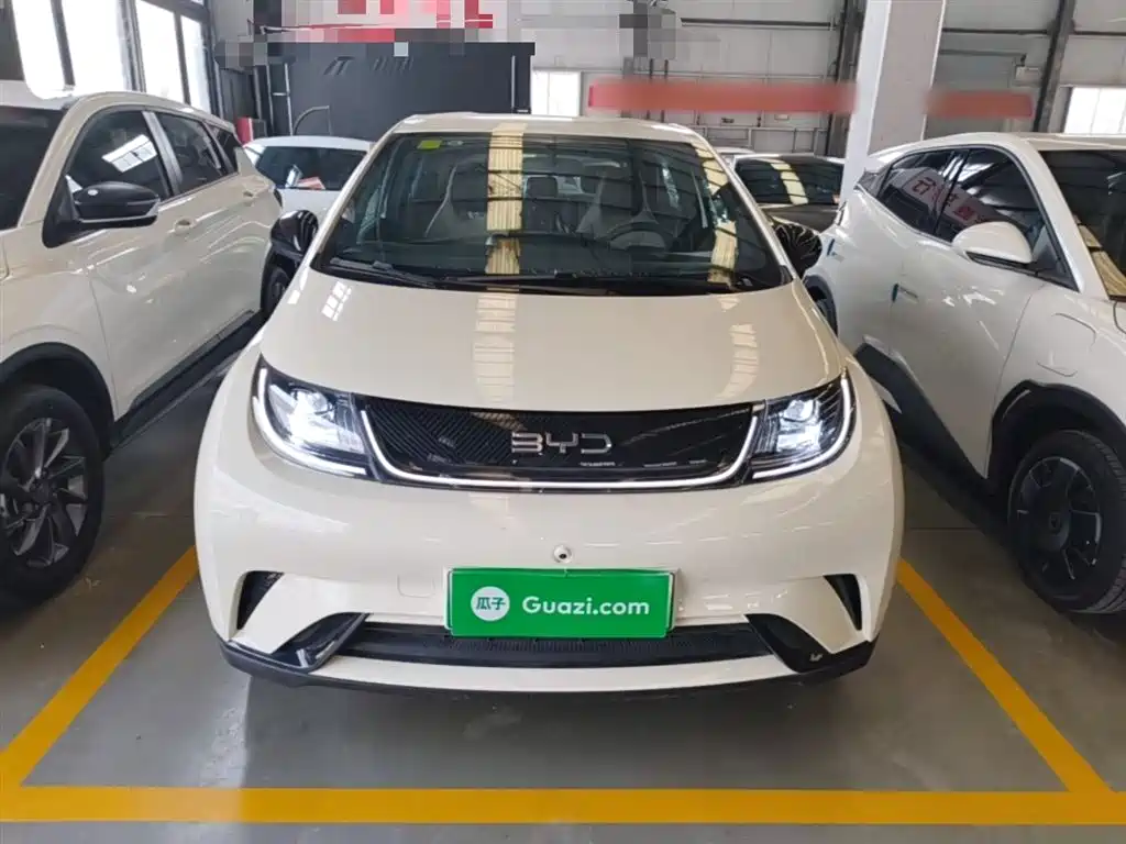BYD Dolphin 2025 420km Freedom