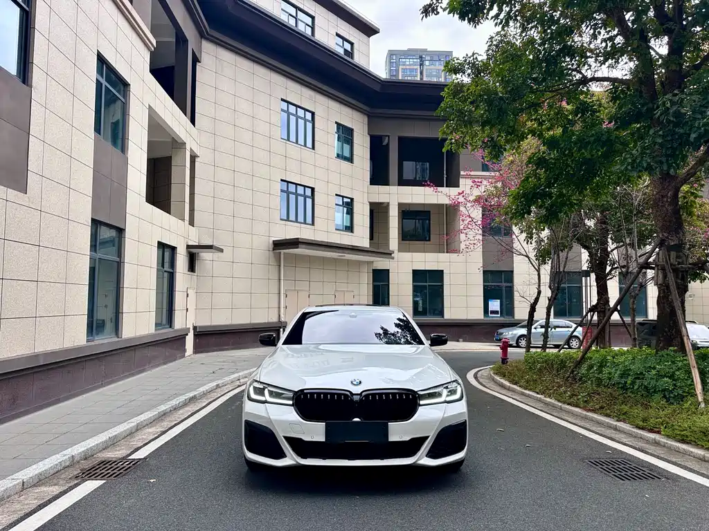 BMW 5 SERIES