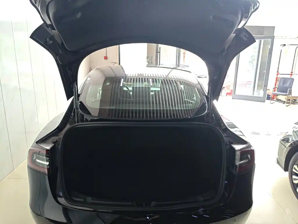 Tesla Model 3 — миниатюра 19