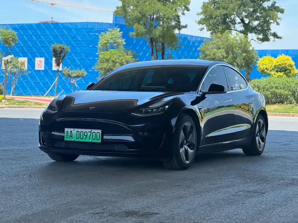 Tesla Model 3 2020