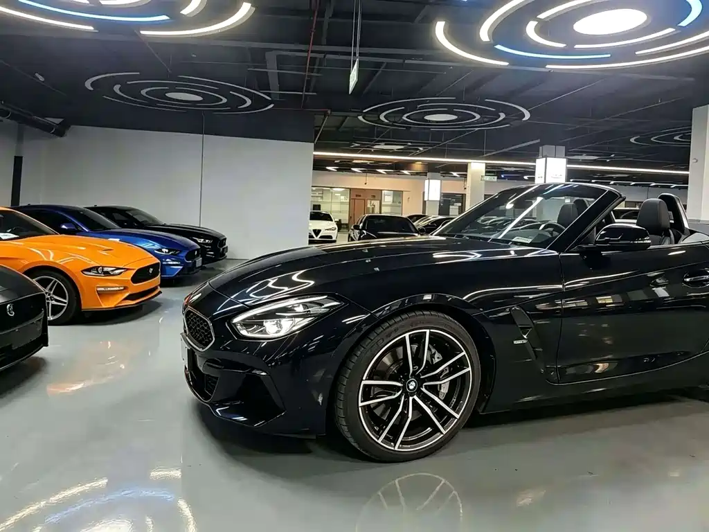 BMW Z4 — миниатюра 12