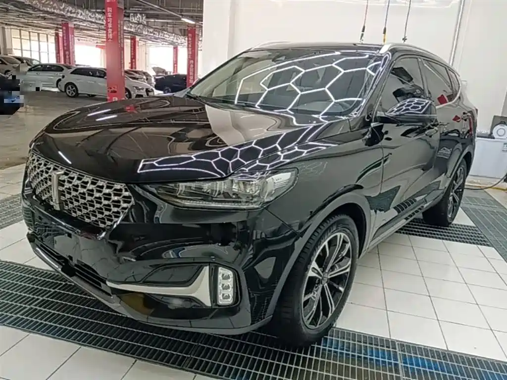 Wey Wey VV6 2021