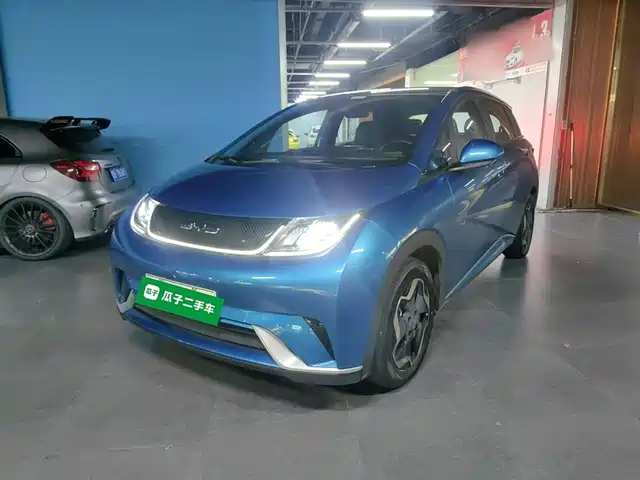 BYD DOLPHIN