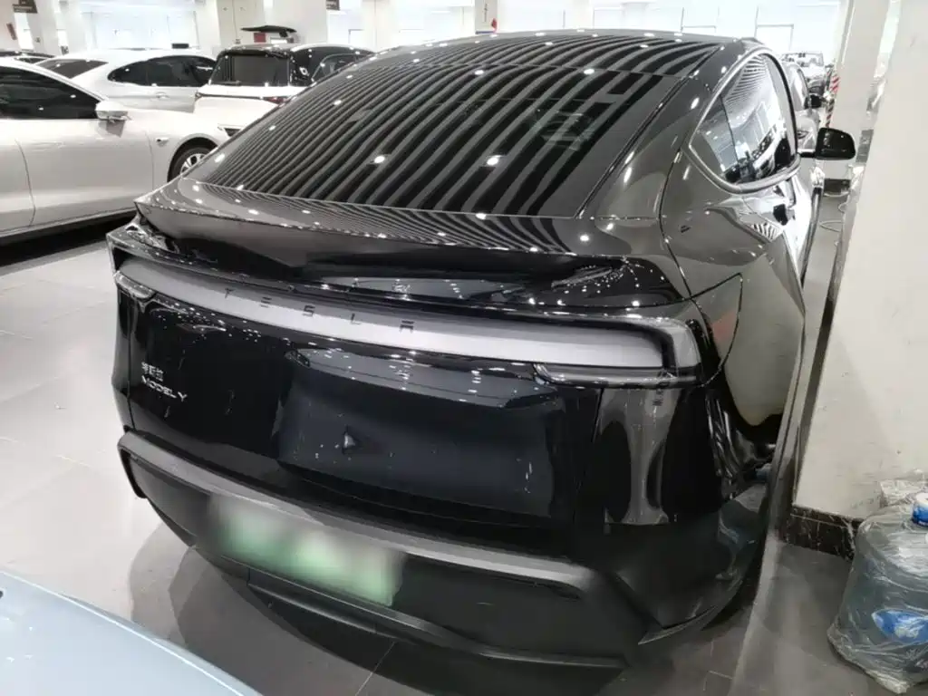Tesla Model Y — миниатюра 6