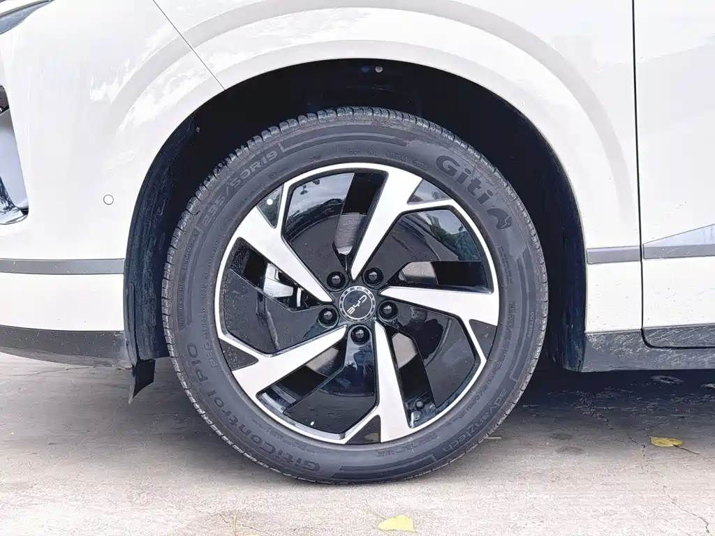 BYD Sealion 06 — миниатюра 3