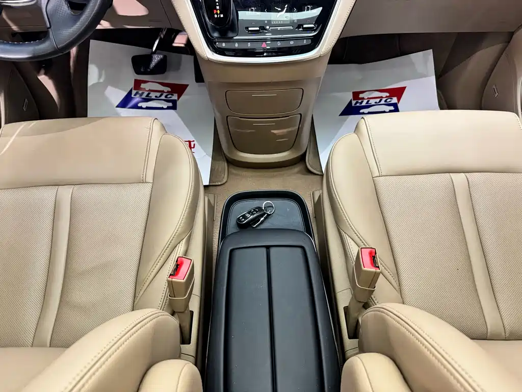 Buick GL8 — миниатюра 13