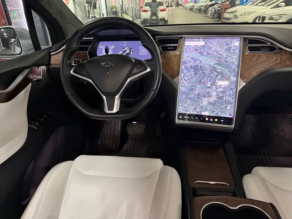 TESLA MODEL X
