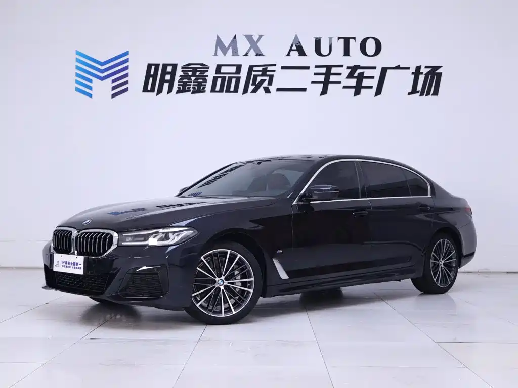 BMW 5 Series — миниатюра 2