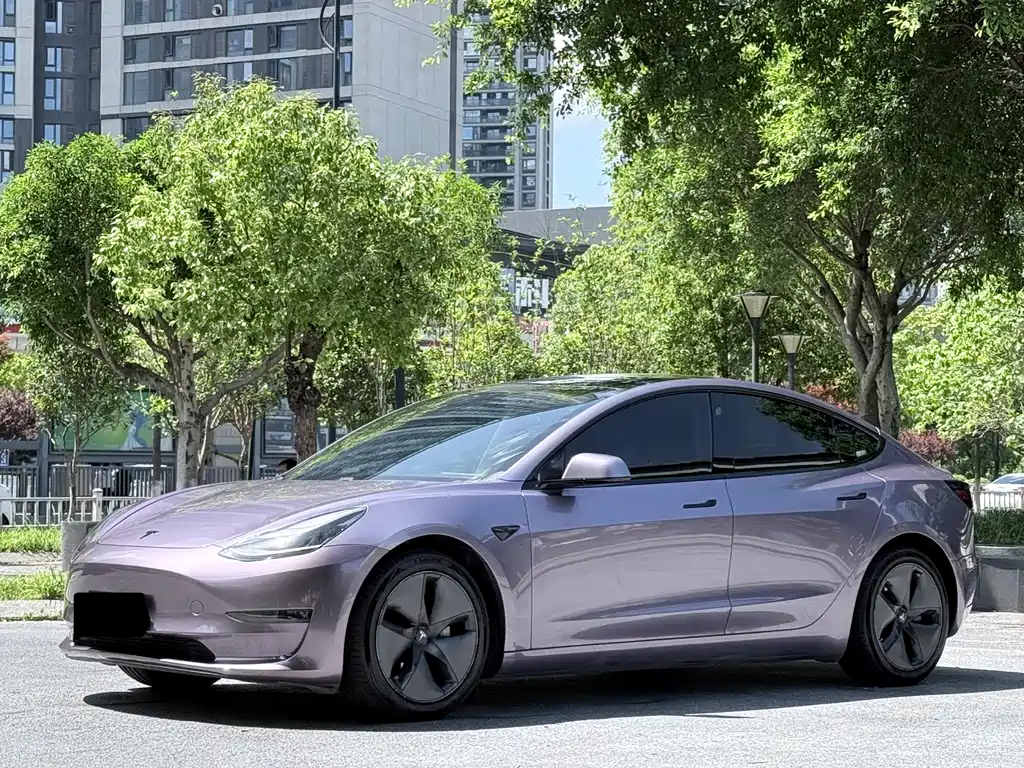 Tesla Model 3 2020