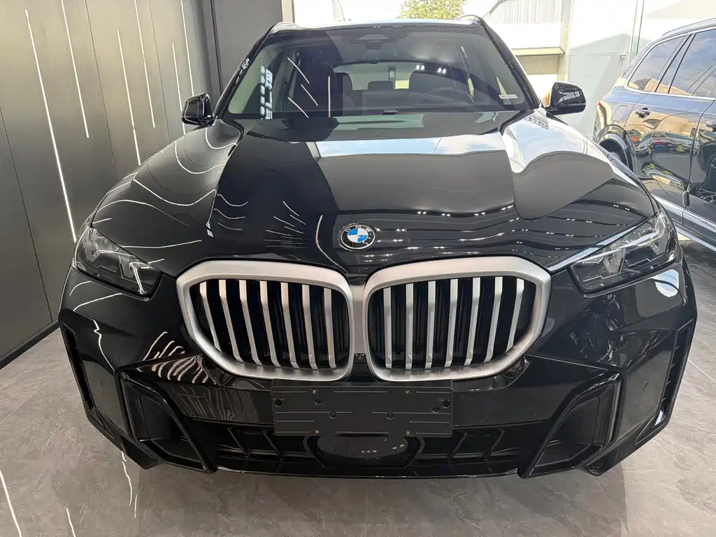 BMW X5 — миниатюра 2