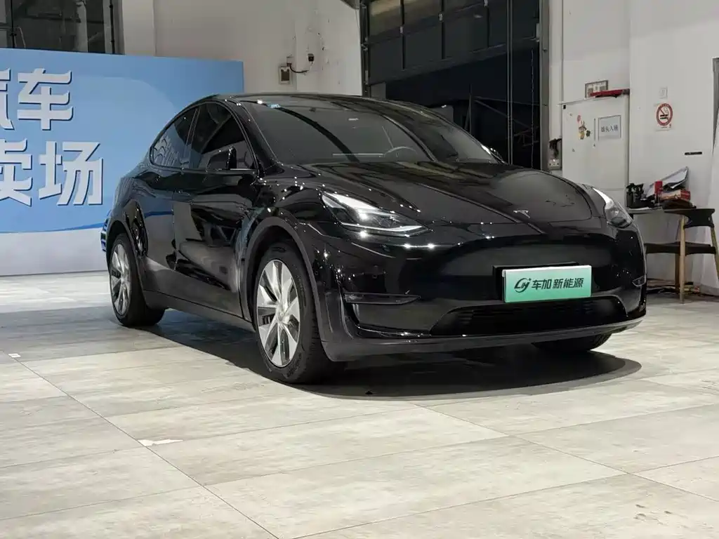 Tesla Model Y — миниатюра 3
