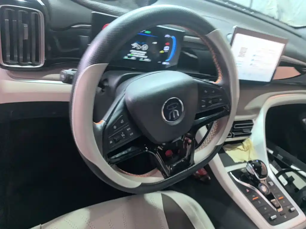 BYD Pro New Energy — миниатюра 11