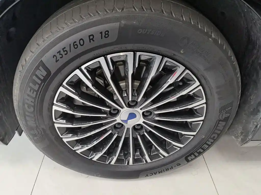 Denza Denza D9 — миниатюра 23