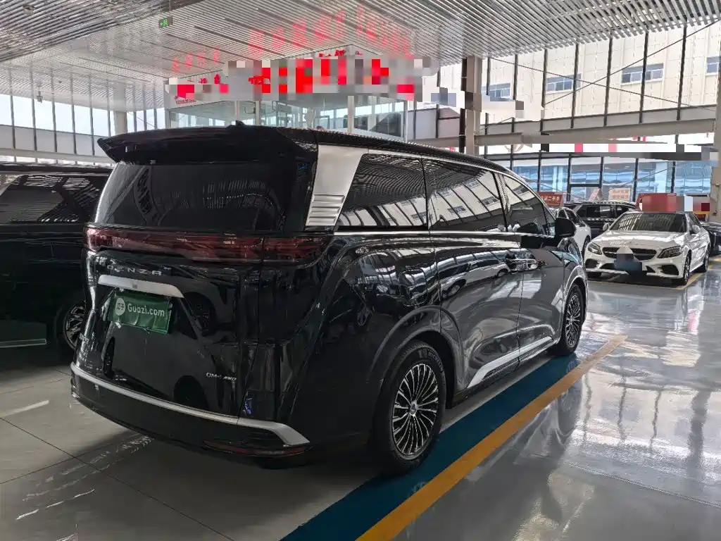 Denza Denza D9 — миниатюра 7