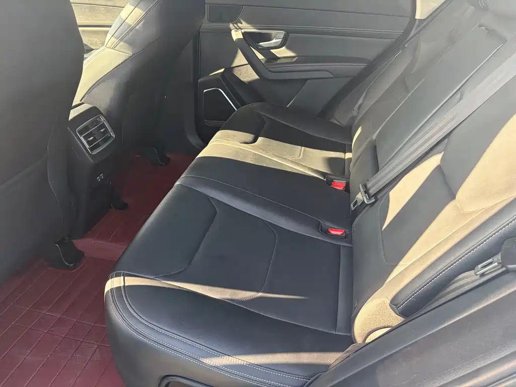 BYD Pro — миниатюра 11