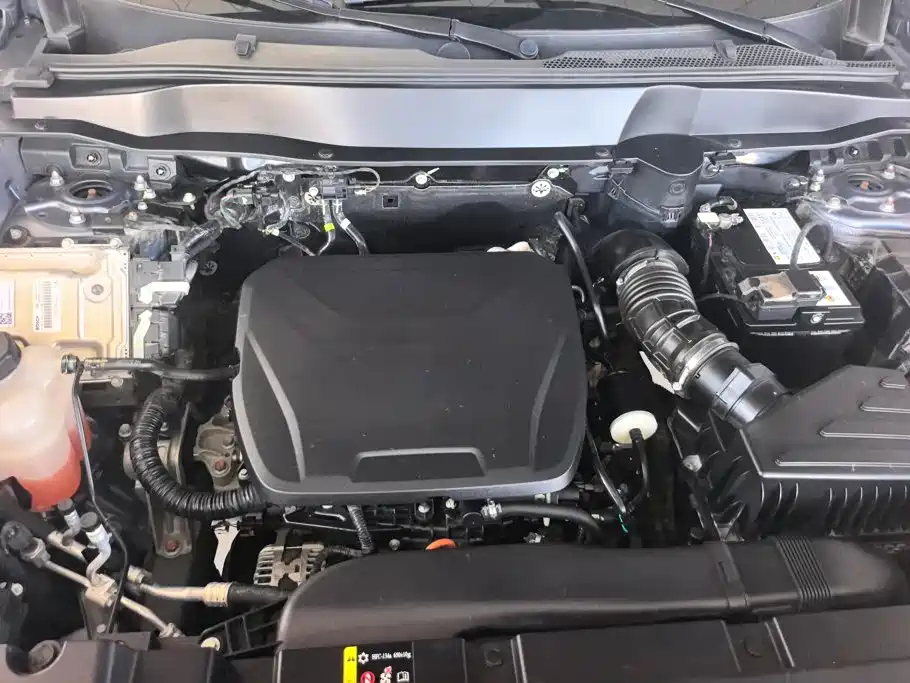 Haval Big Dog — миниатюра 10
