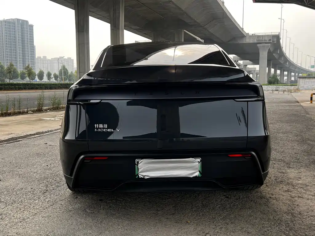 Tesla Model Y — миниатюра 4