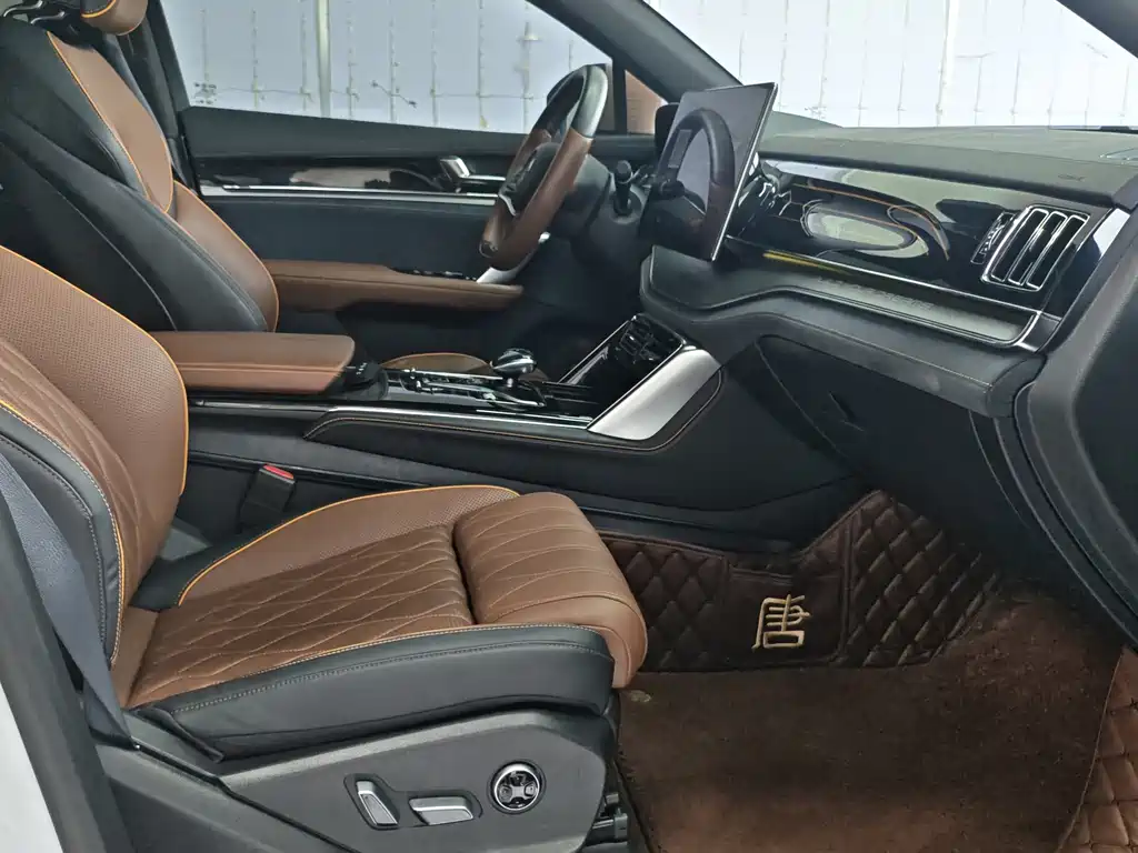 BYD Tang New Energy — миниатюра 17