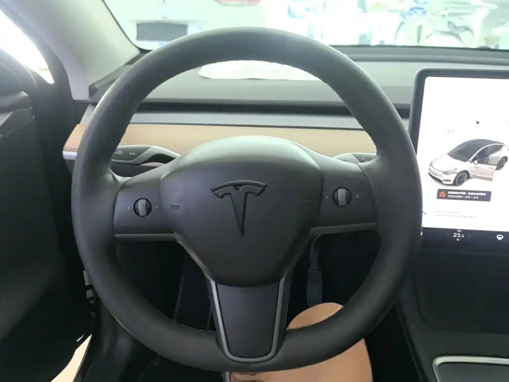 Tesla Model Y — миниатюра 11