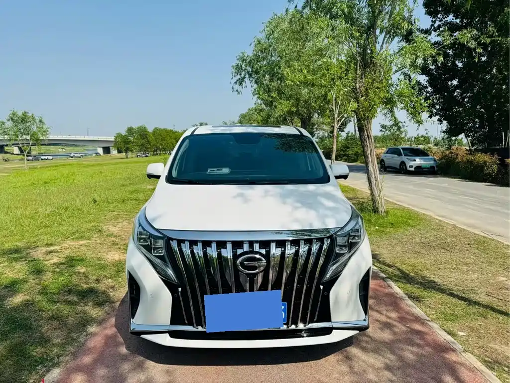 GAC Motor Trumpchi M8 — миниатюра 2