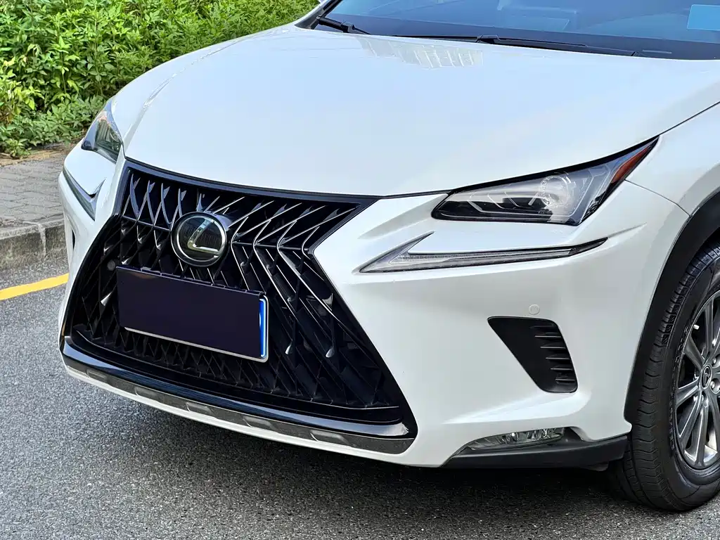 Lexus NX — миниатюра 16
