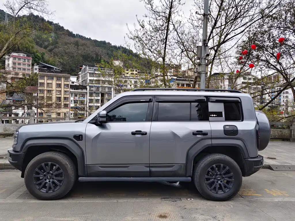 FANG CHENG BAO LEOPARD 5