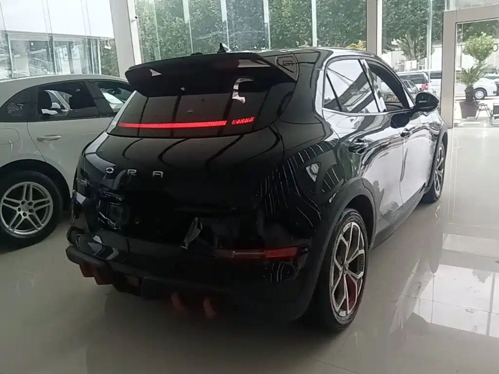 Ora Ora Good Cat GT — миниатюра 7