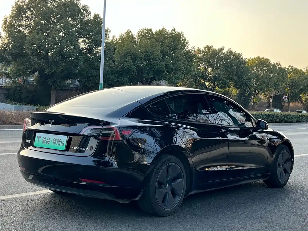 Tesla Model 3 — миниатюра 5