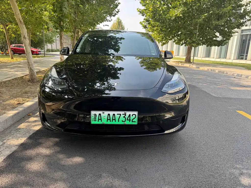 Tesla Model Y — миниатюра 2