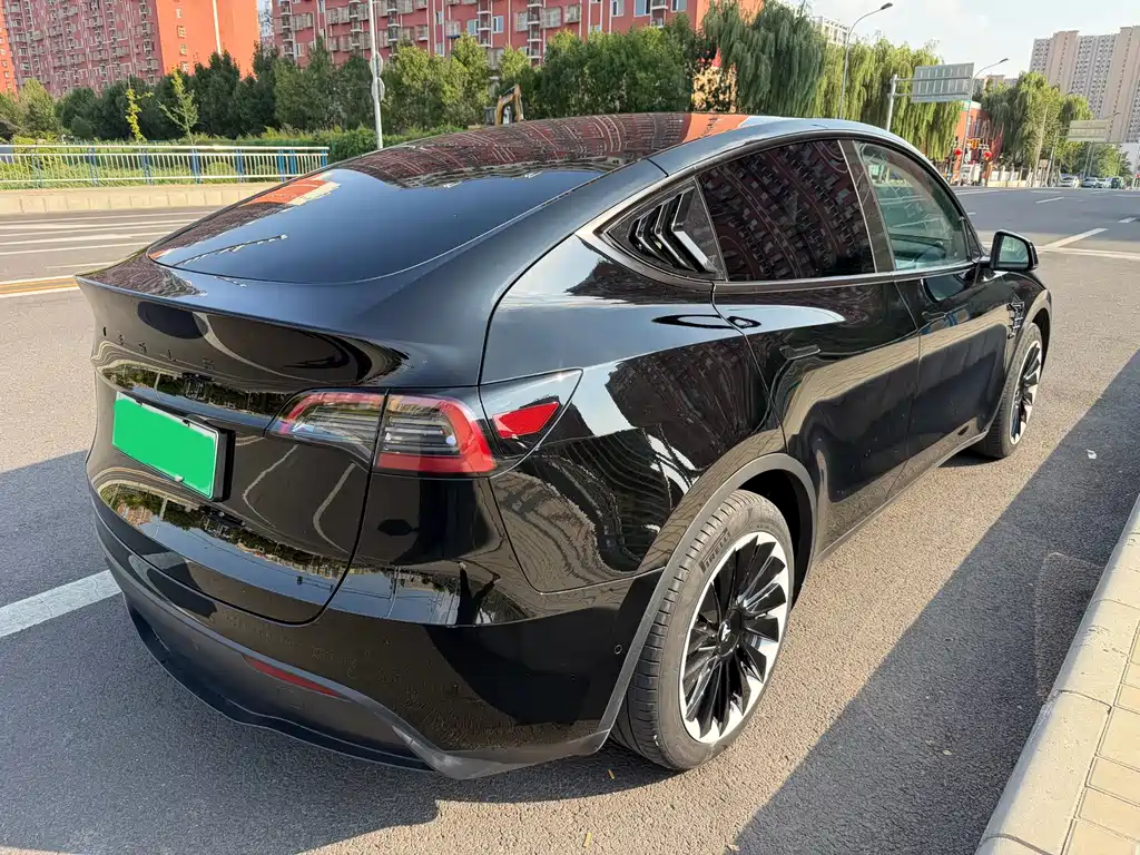 Tesla Model Y — миниатюра 18