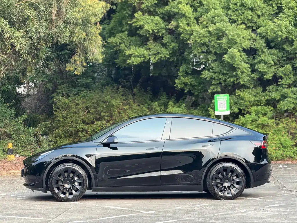 Tesla Model Y — миниатюра 10