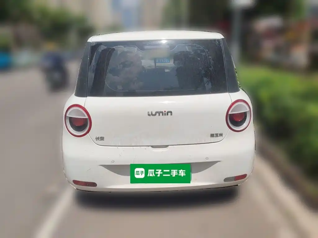 Qiyuan Lumin — миниатюра 3