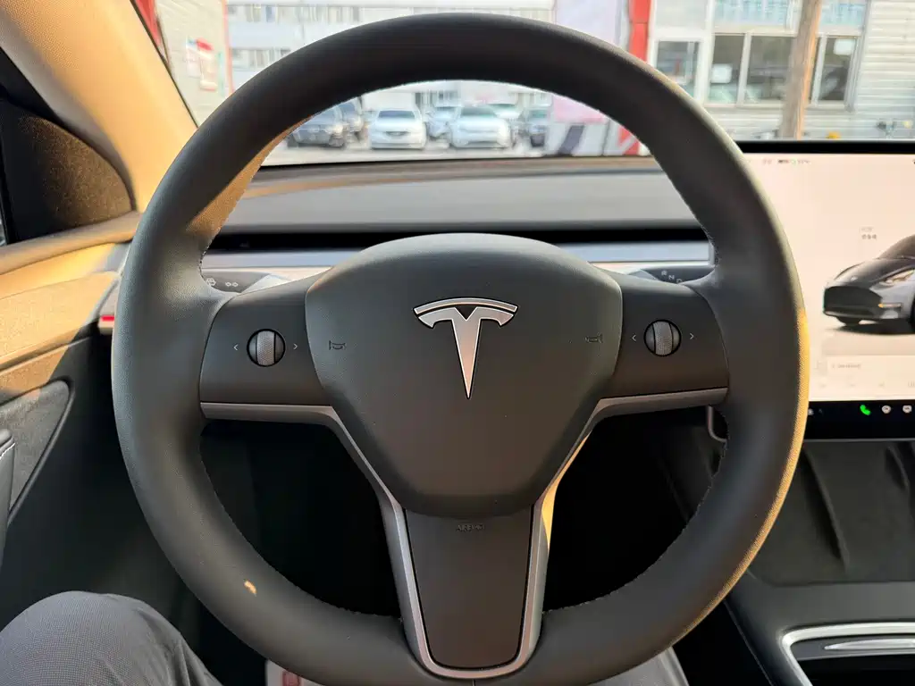 Tesla Model Y — миниатюра 8