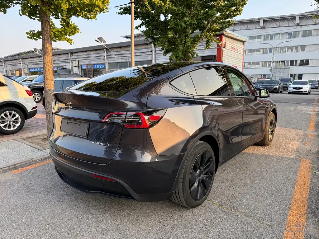 Tesla Model Y — миниатюра 19