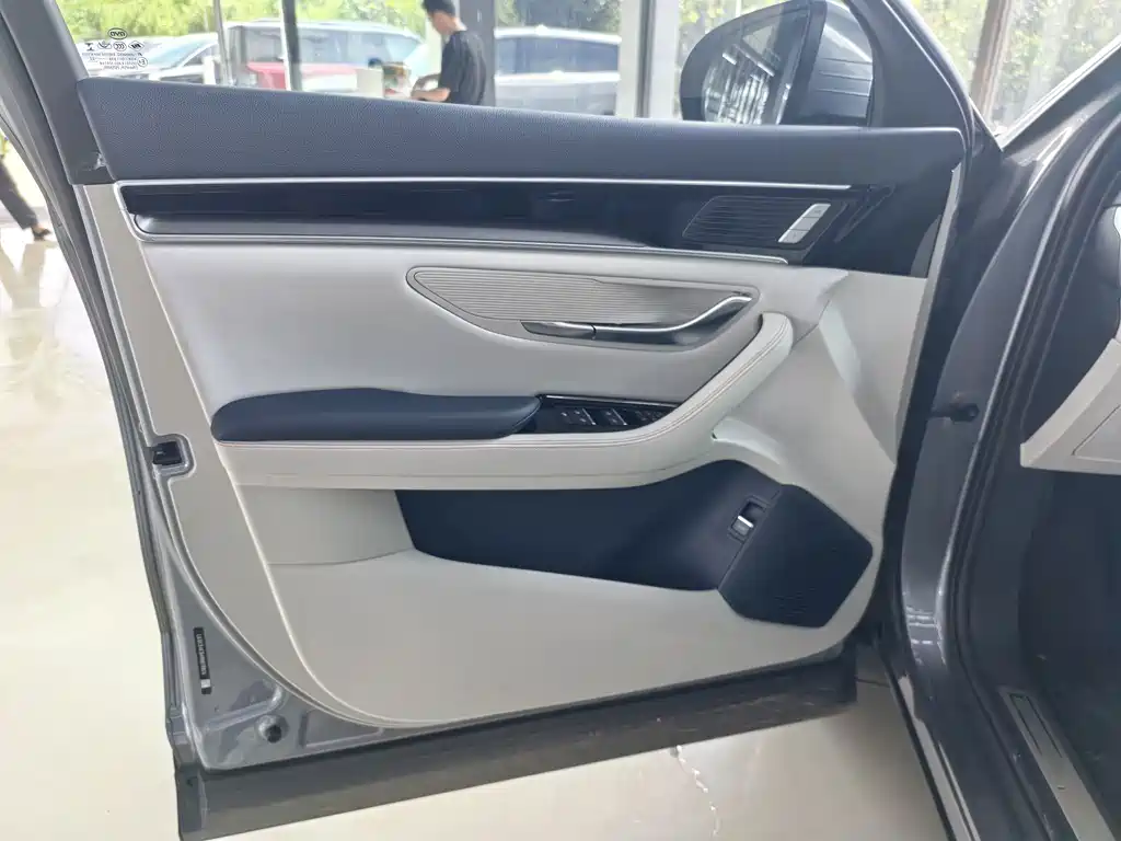 BYD PLUS New Energy — миниатюра 4