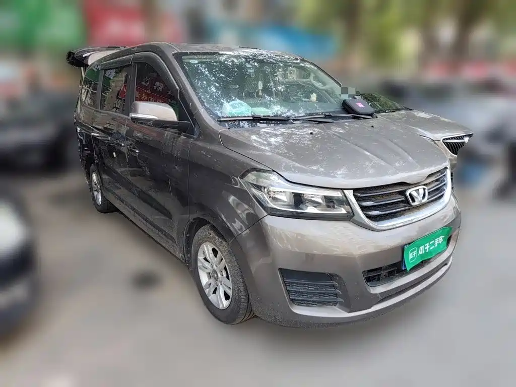 Huasong 7 — миниатюра 3
