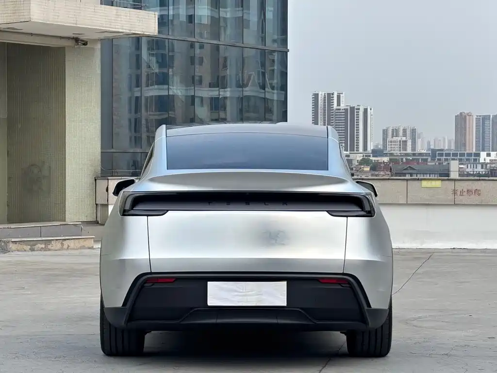 Tesla Model Y — миниатюра 11