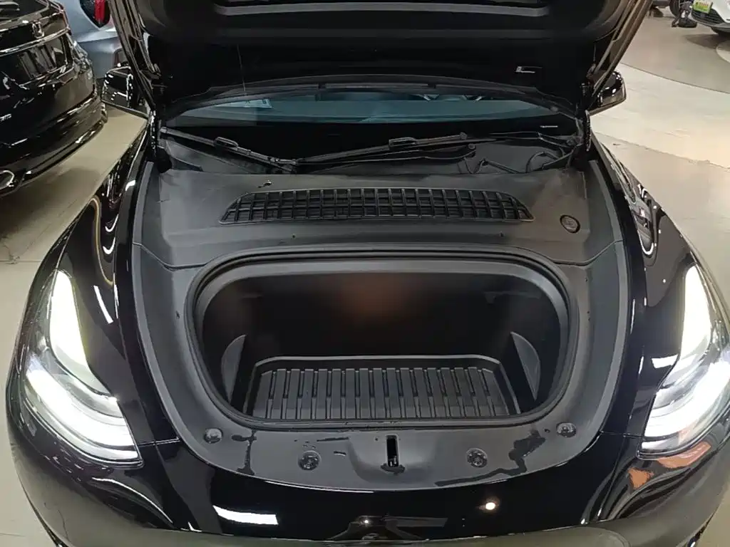 Tesla Model Y — миниатюра 20