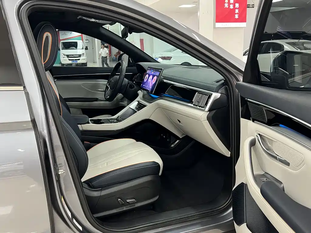 BYD PLUS New Energy — миниатюра 12