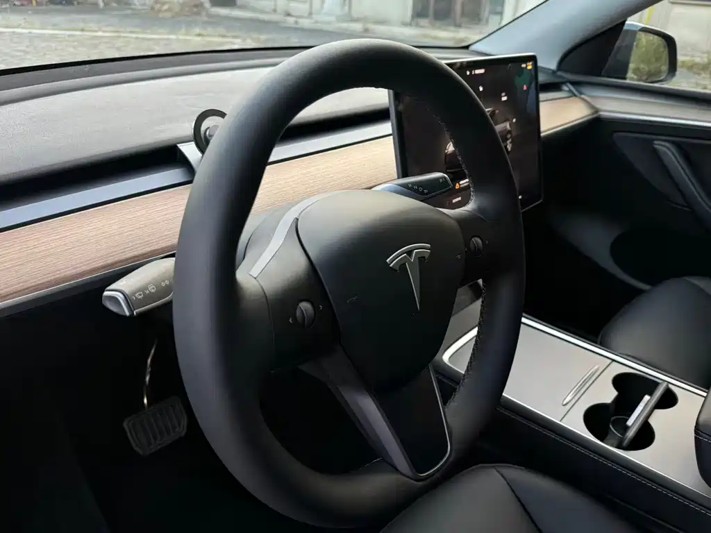 Tesla Model Y — миниатюра 10