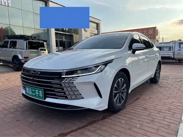 2024 BYD Destroyer