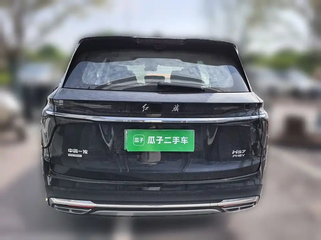 Hongqi Hongqi HS7 PHEV — миниатюра 5