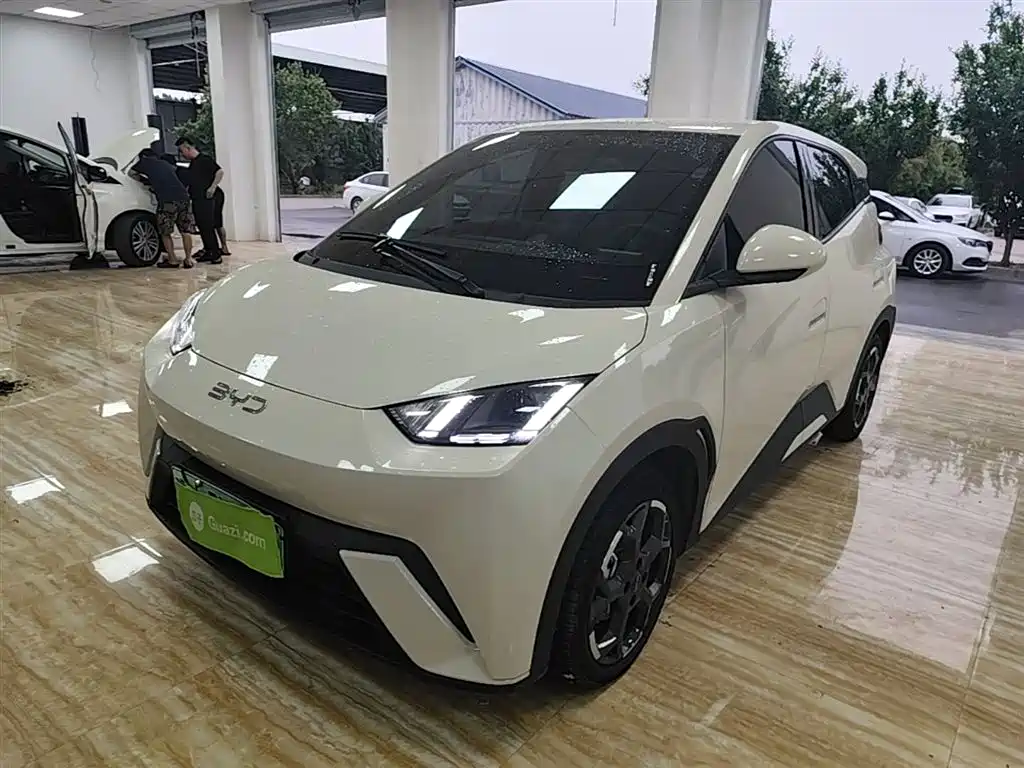 Byd Seagull 2025