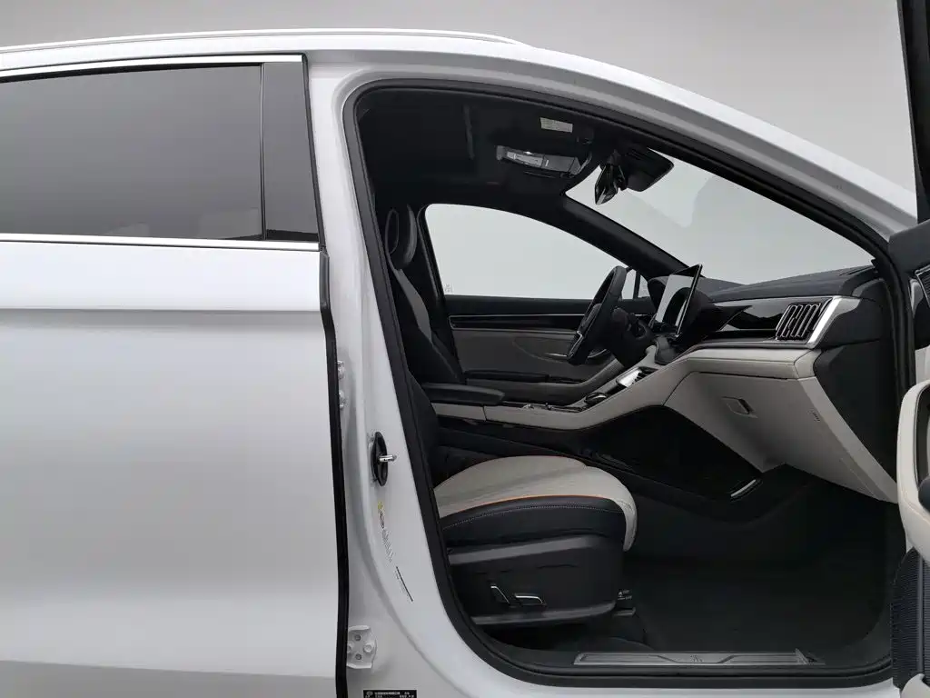 BYD PLUS New Energy — миниатюра 23