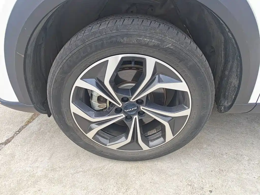Haval Shenshou — миниатюра 23